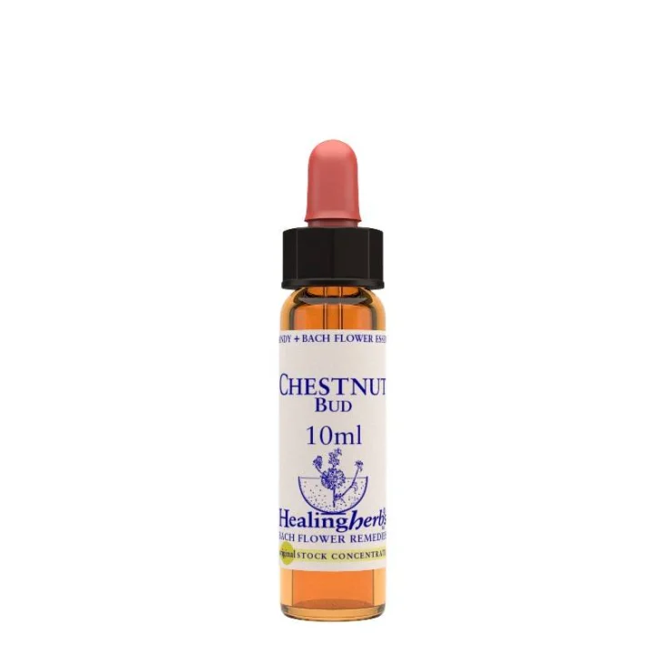 Healing Herbs Fiori di Bach Chestnut Bud 10 Ml 1 Pezzo