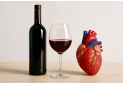 Alcol e colesterolo: come influisce davvero il consumo di alcolici sui valori?
