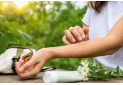 Le migliori creme e pomate per le punture di insetto: guida alla scelta