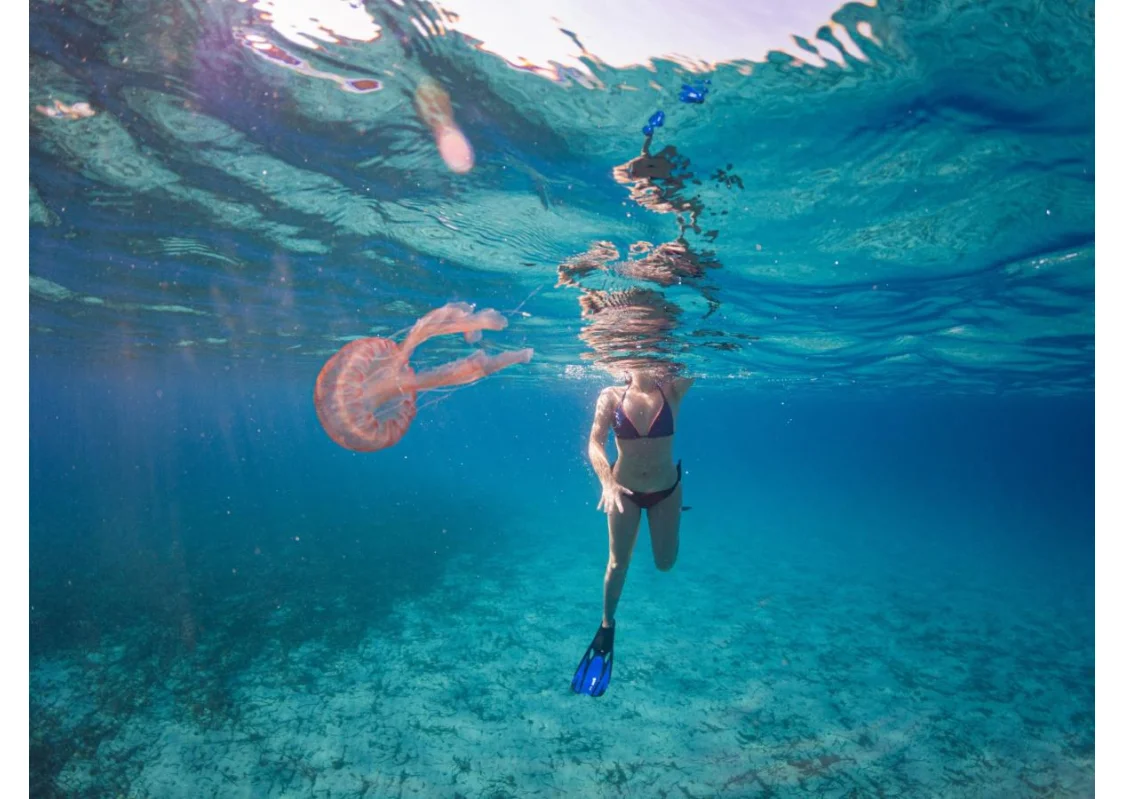 Puntura di meduse: sintomi, cause e rimedi Puntura di meduse: sintomi, cause e rimedi