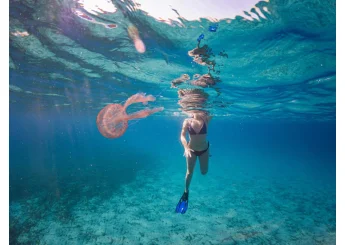Puntura di meduse: sintomi, cause e rimedi