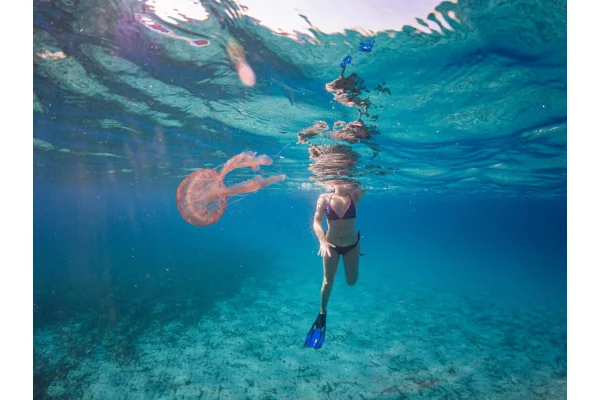 Puntura di meduse: sintomi, cause e rimedi