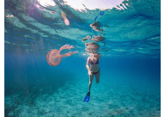 Puntura di meduse: sintomi, cause e rimedi Puntura di meduse: sintomi, cause e rimedi