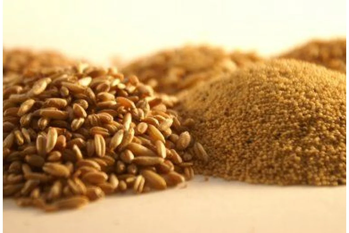 Un mondo senza glutine: la guida alle alternative gluten free!