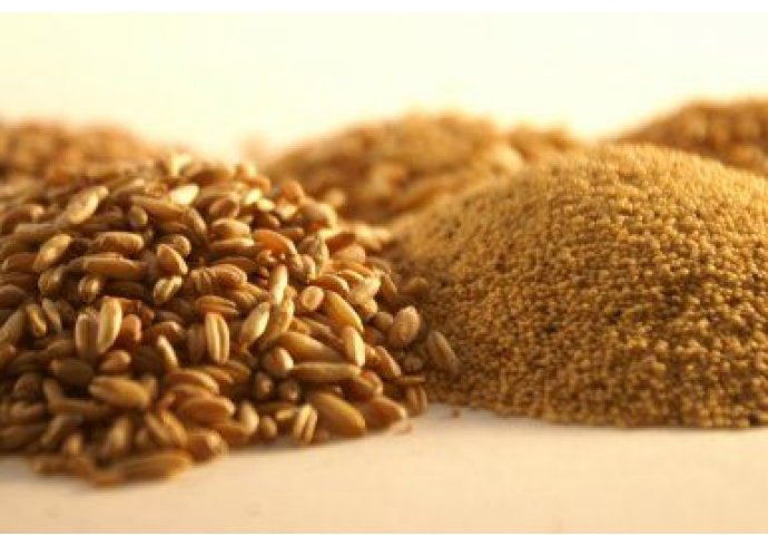 Un mondo senza glutine: la guida alle alternative gluten free! Un mondo senza glutine: la guida alle alternative gluten free!