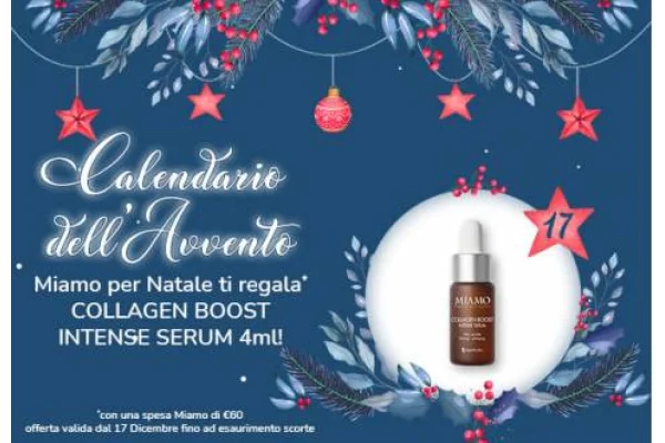 Calendario dell'Avvento - 17 dicembre