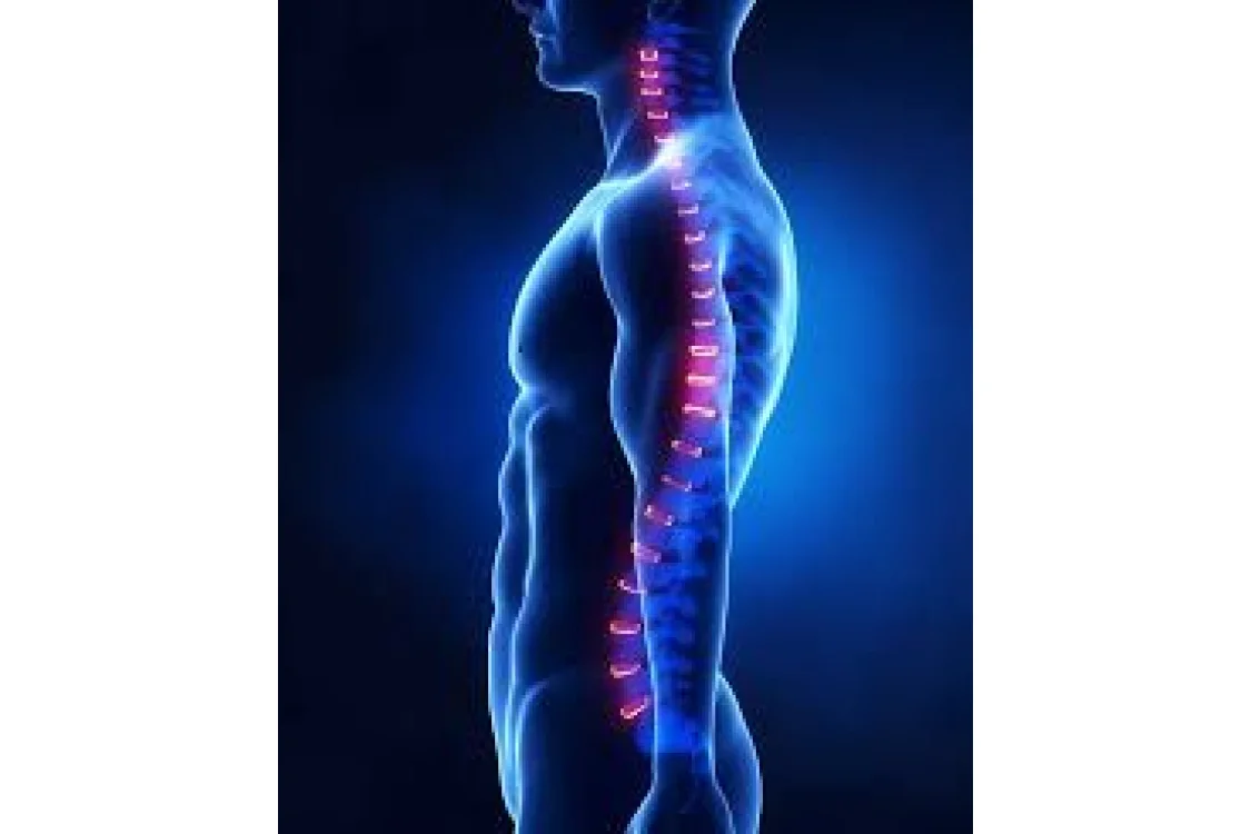 La flessibilit&agrave; articolare in relazione al Metodo Dorn Breuss