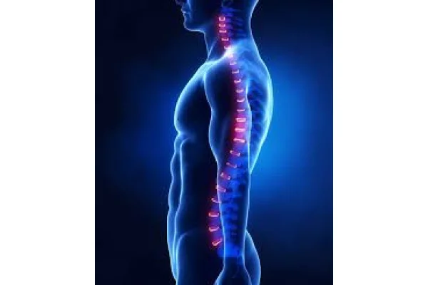 La flessibilit&agrave; articolare in relazione al Metodo Dorn Breuss