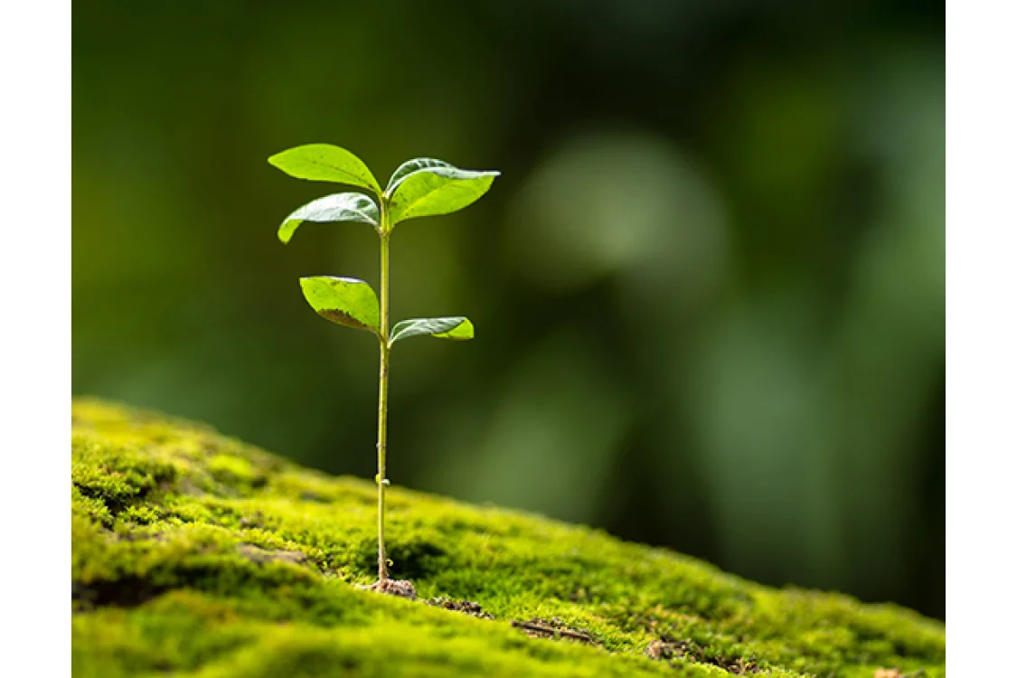 Proteggiamo il nostro ambiente