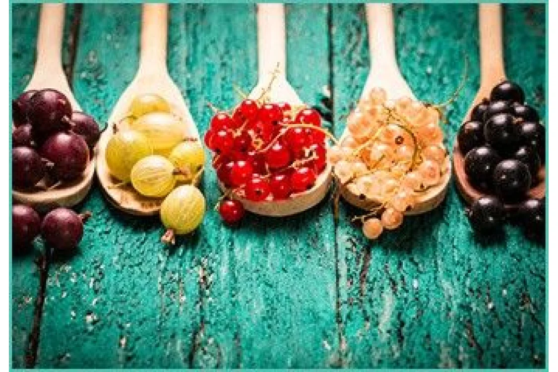 Superfood: cosa sono e a cosa servono