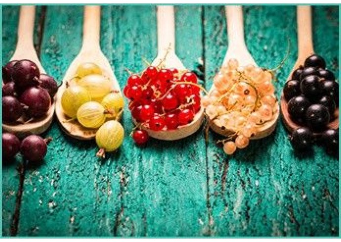 Superfood: cosa sono e a cosa servono Superfood: cosa sono e a cosa servono