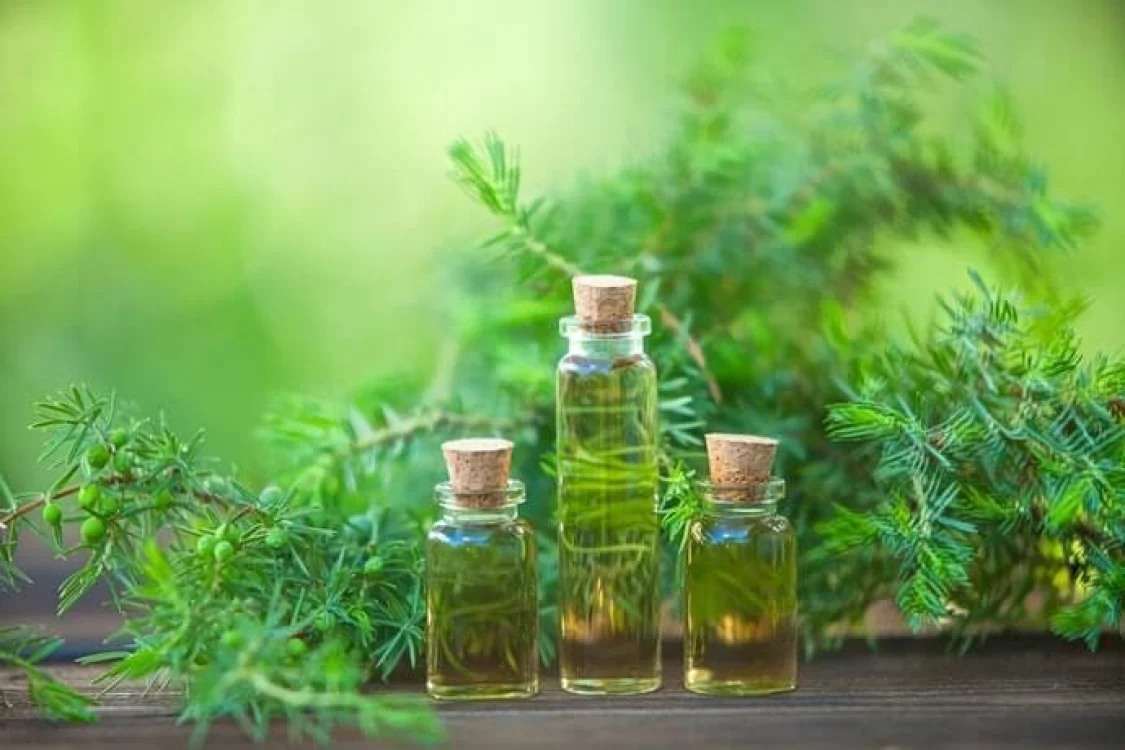 Tea Tree Oil: cosa &egrave; e quando si usa