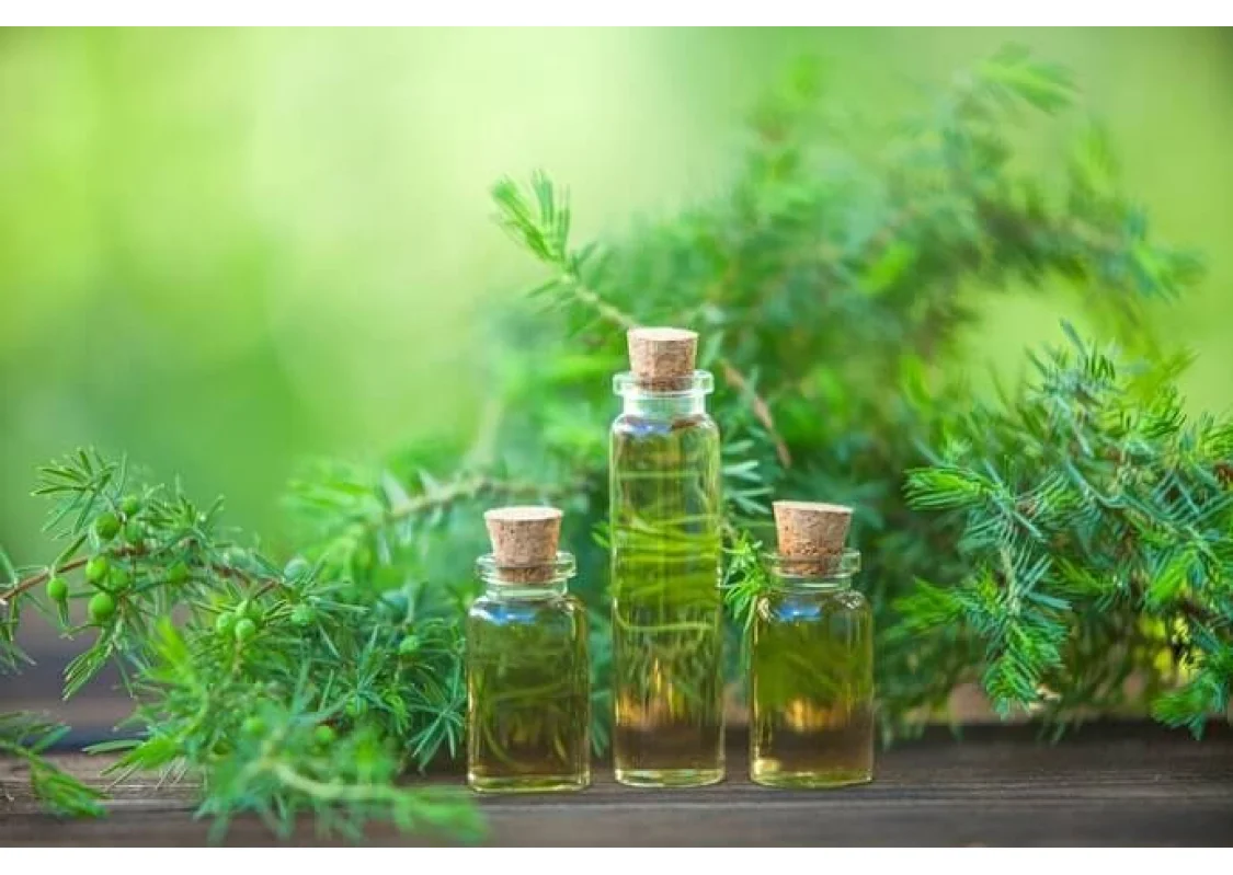 Tea Tree Oil: cosa è e quando si usa