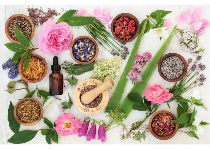 Fiori di Bach e Rescue Remedy: scopriamo cosa sono Fiori di Bach e Rescue Remedy: scopriamo cosa sono