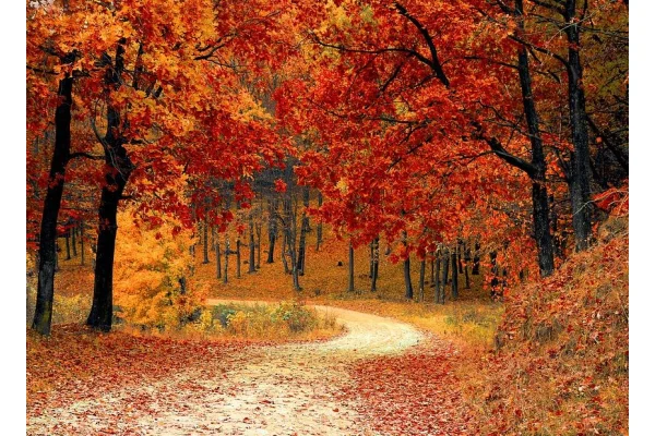 Il mondo si veste di autunno
