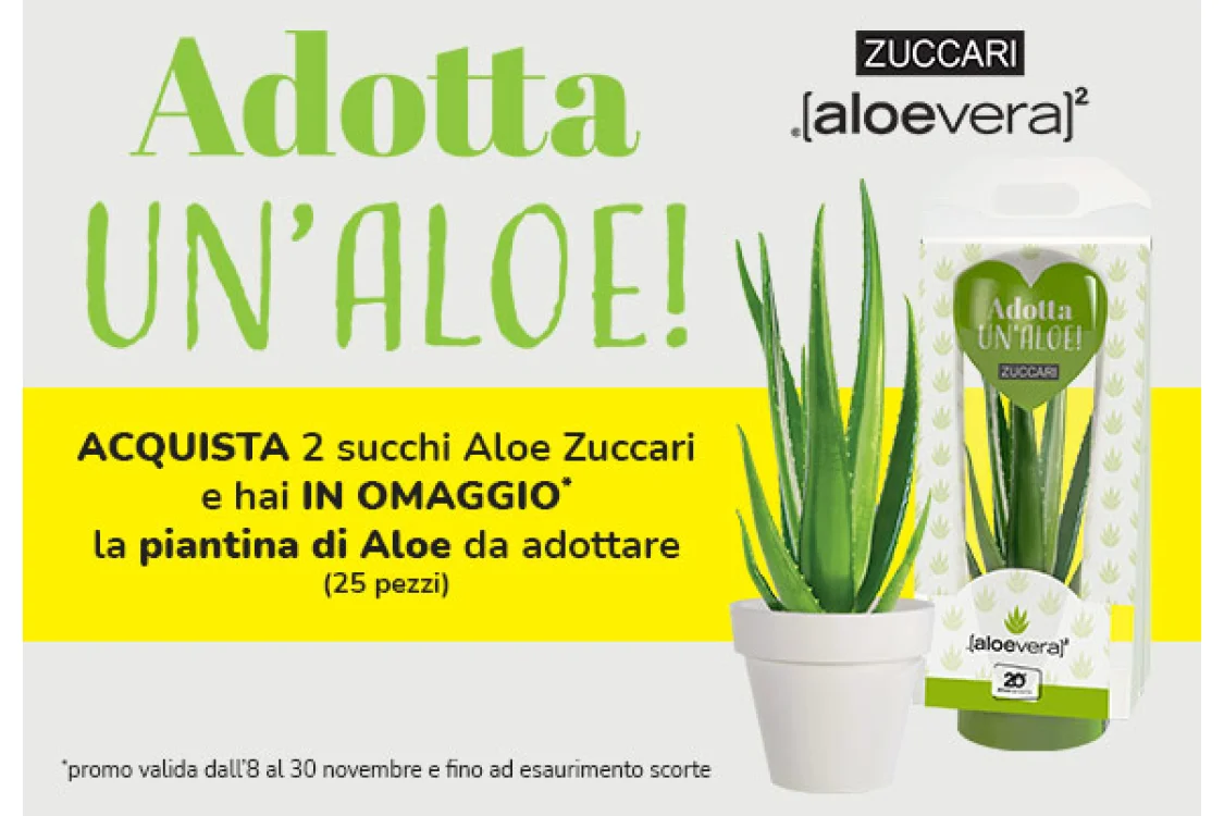 Promo Zuccari Promo Zuccari