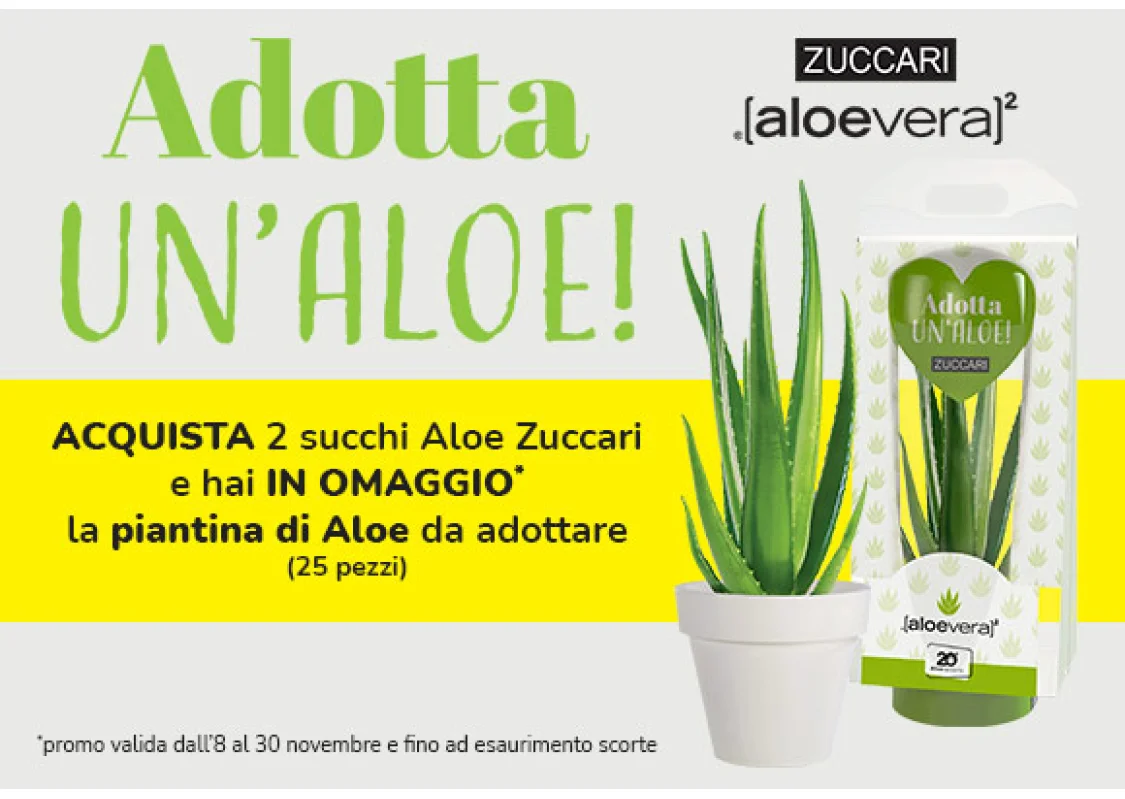 Promo Zuccari