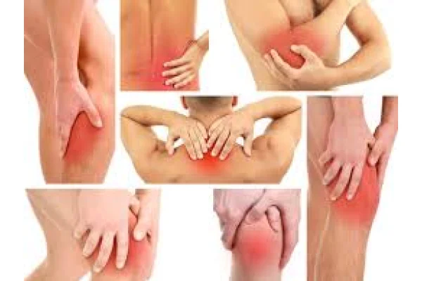 Novit&agrave; Esi: No Dol Collagen