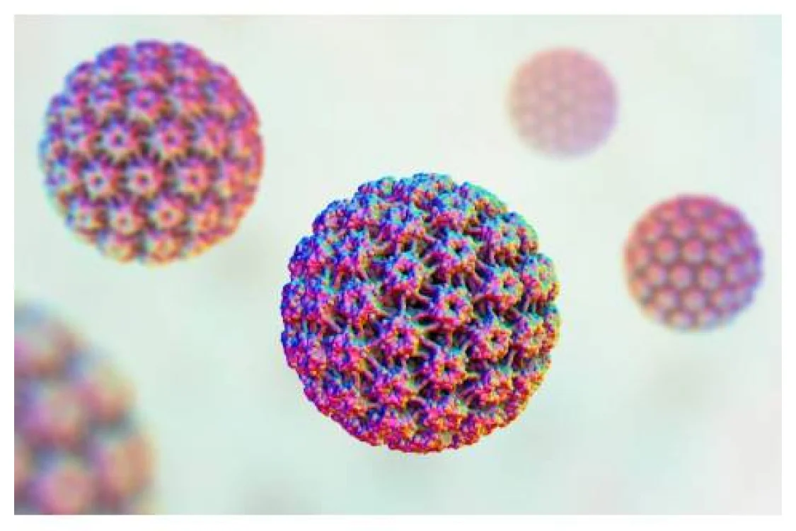 Papilloma Virus: cos&rsquo;&egrave; e come si cura