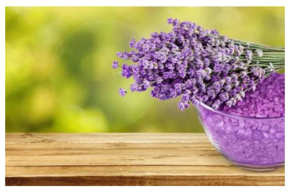 La Lavanda: un rimedio naturale per rilassarsi e dormire
