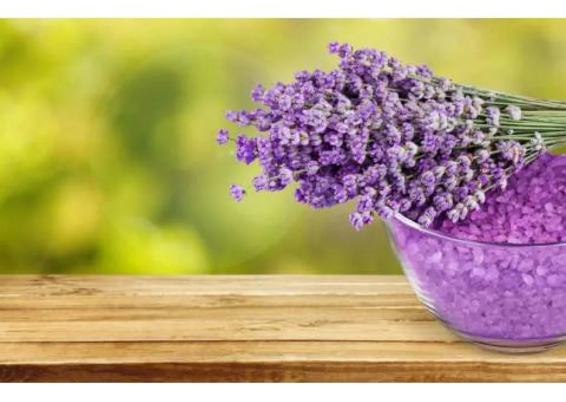 La Lavanda: un rimedio naturale per rilassarsi e dormire