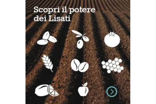 PuraVida Bio: quando la bellezza &egrave; sinonimo di nutrimento