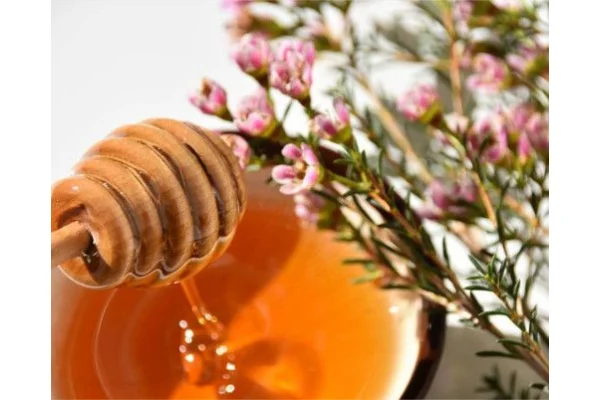 Propriet&agrave; e benefici del miele di Manuka