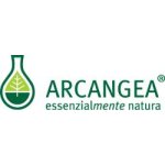 Arcangea