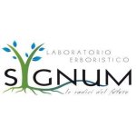 Sygnum Lab