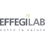 Effegilab