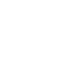 Aneid Italia