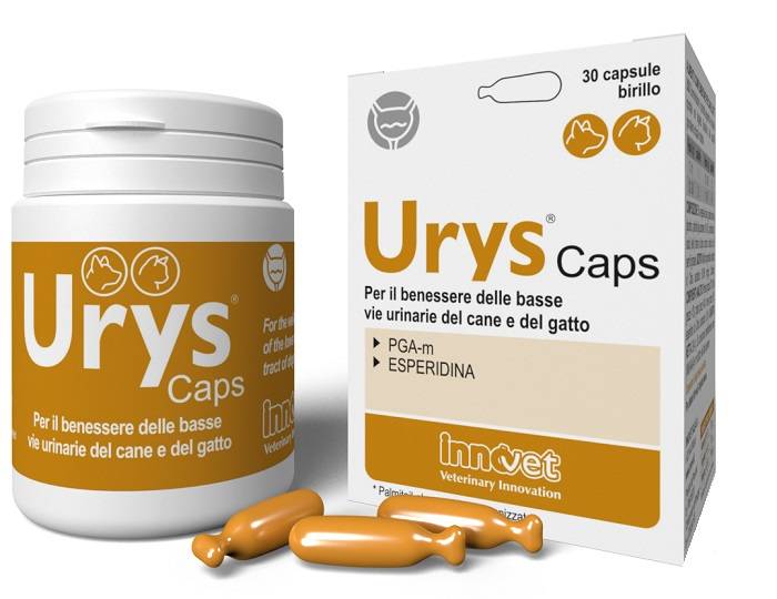 Urys Caps Integratore per la salute vie urinarie di cani e gatti 30 capsule