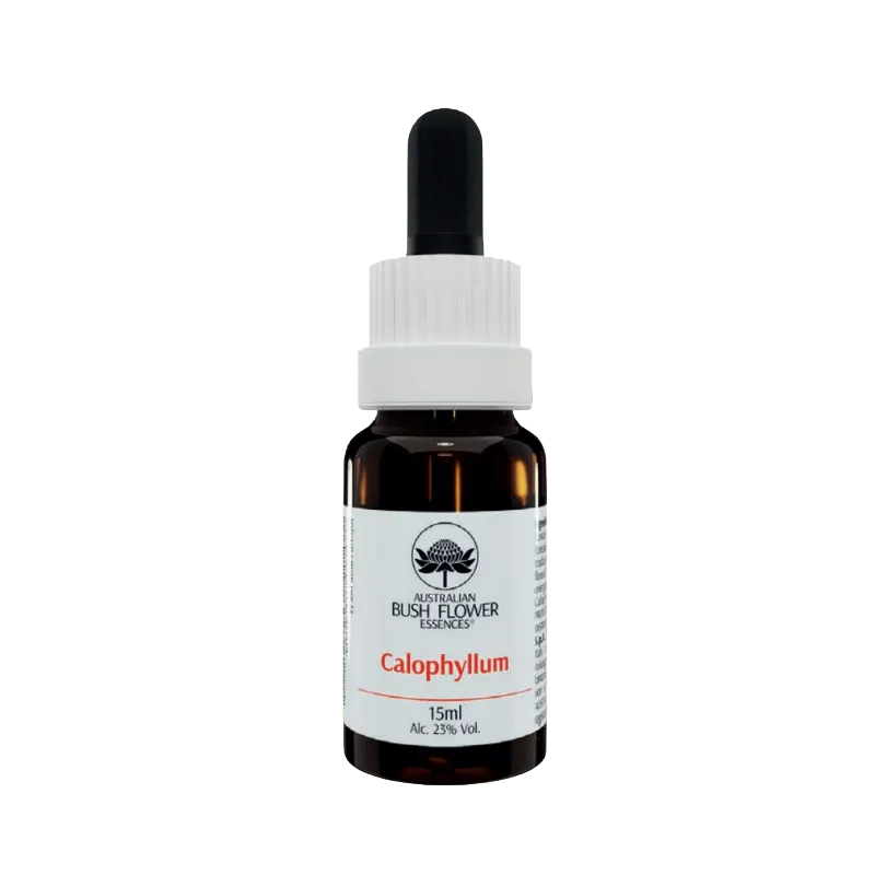 Australian Bush Flower Calophyllum Essenza floreale 15 ml