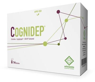COGNIDEP 14 BUSTINE