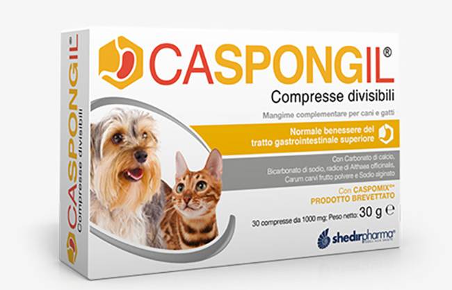 Caspongil Integratore per Reflusso e Vomito di Cani e Gatti 30 Compresse Divisibili