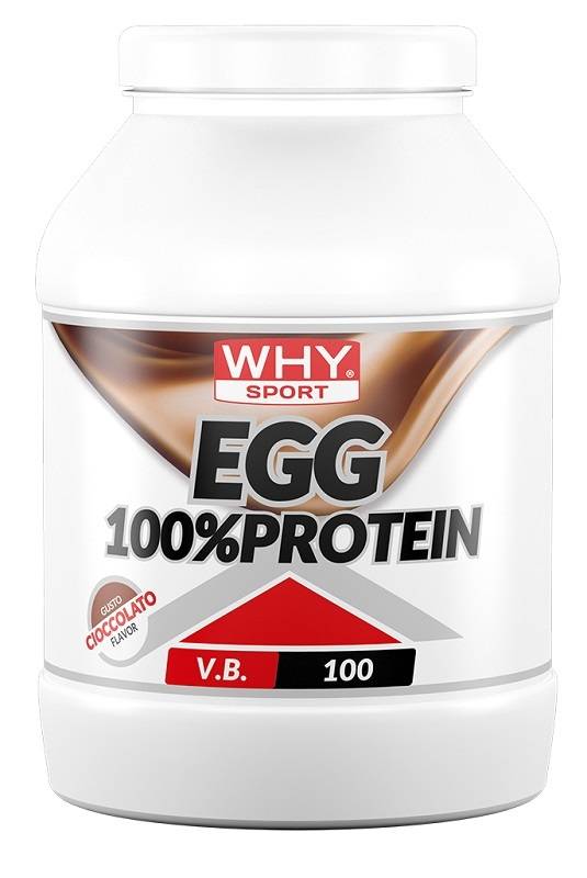 Whysport EGG 100% Protein Integratore di Proteine Gusto Cioccolato 750 g