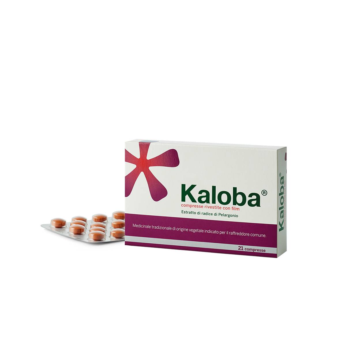 Kaloba 20 mg Compresse