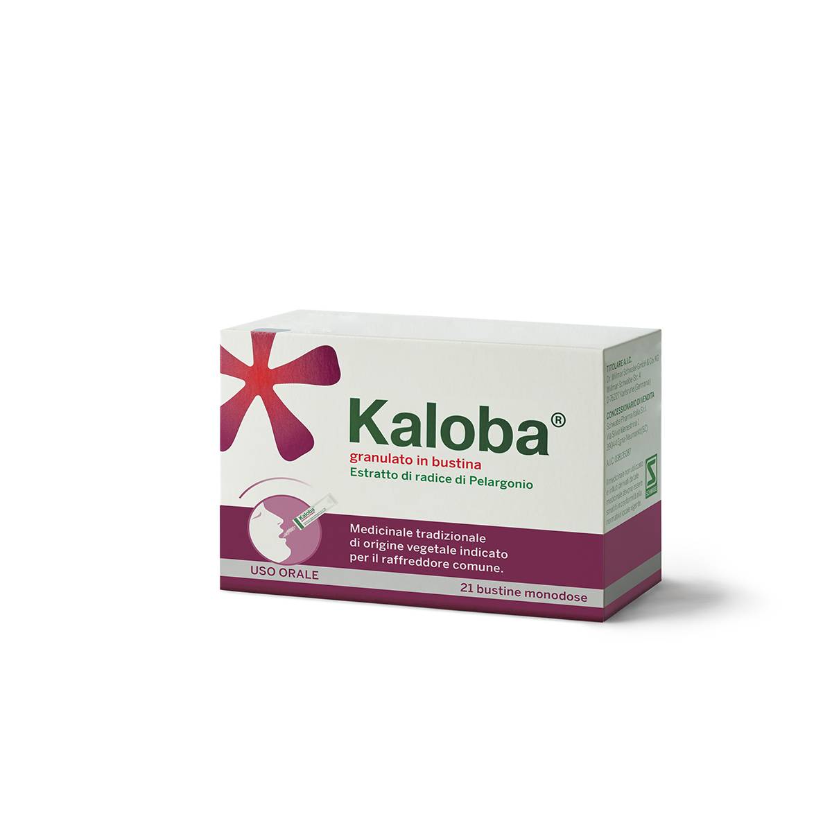 Kaloba Orale granulato 21 bustine 800 mg