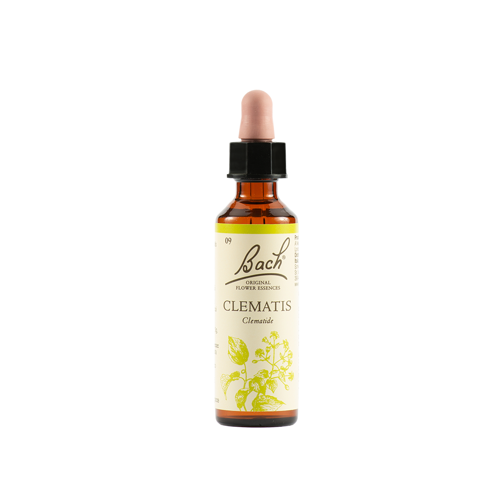 Schwabe Pharma Clematis Fiore di Bach "Rapporto realistico con la Creatività" 20 ml