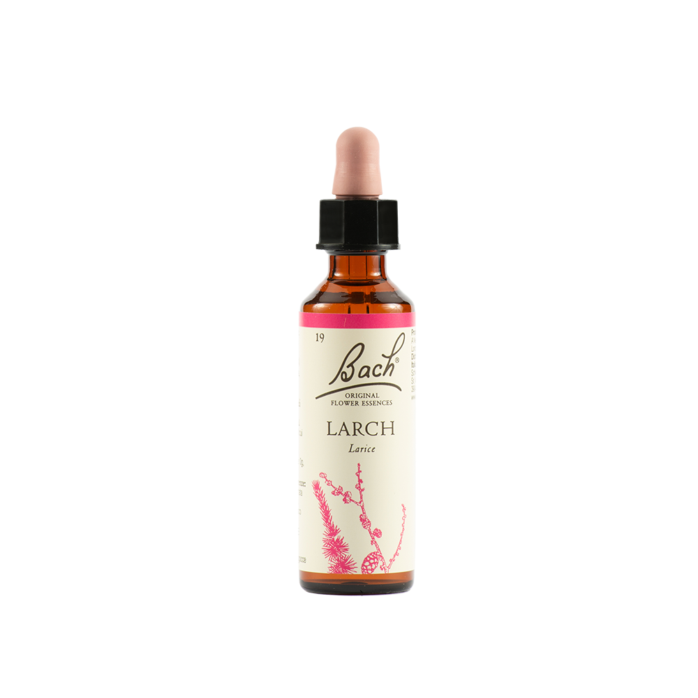 Schwabe Pharma Larch Fiore di Bach 20 ml