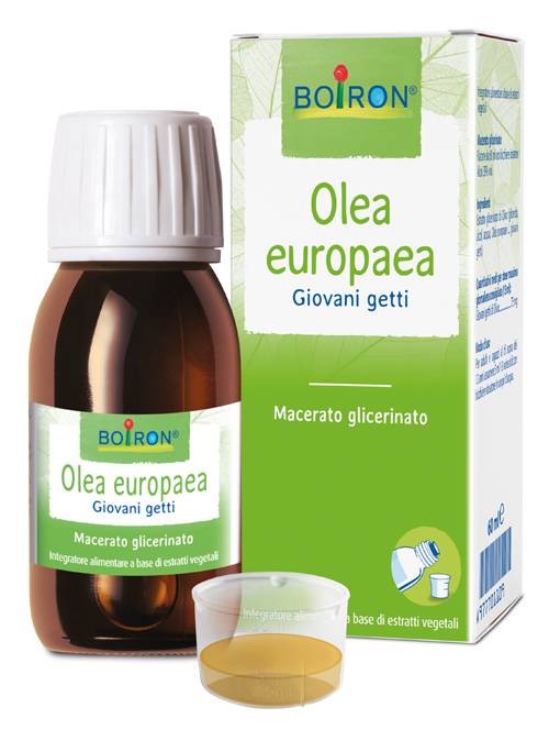 Boiron Olea Europaea Macerato Glicemico 60 ml