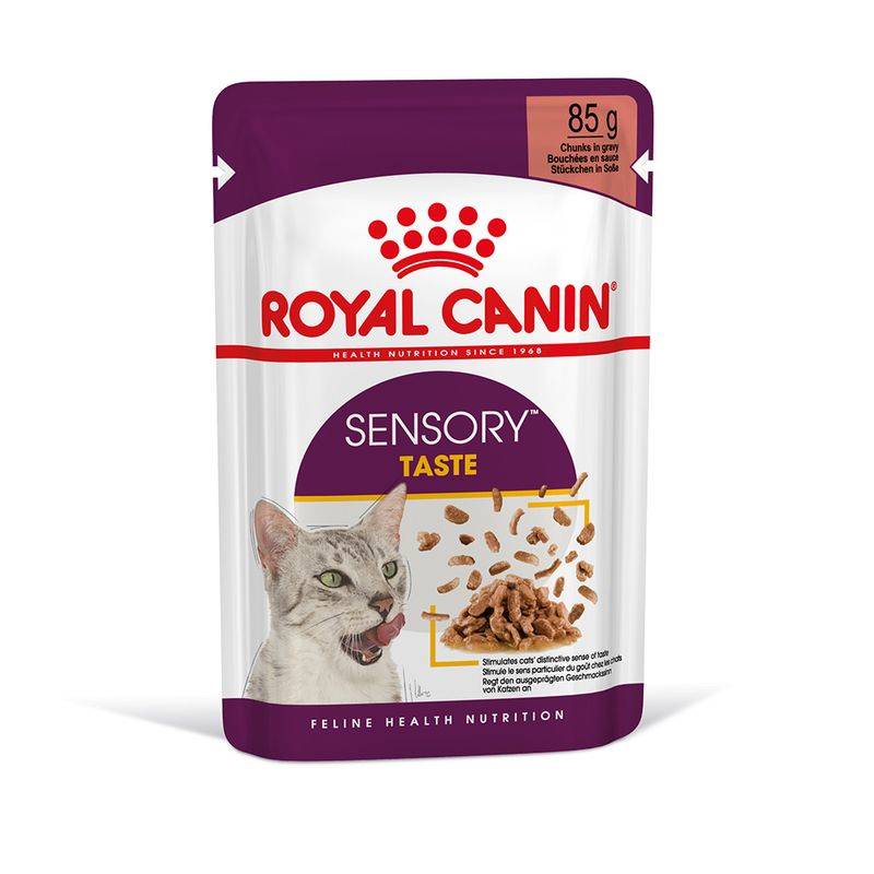 Royal Canin Feline Sensory Taste in Jelli Bocconcini per Gatti in Gelatina 85 g