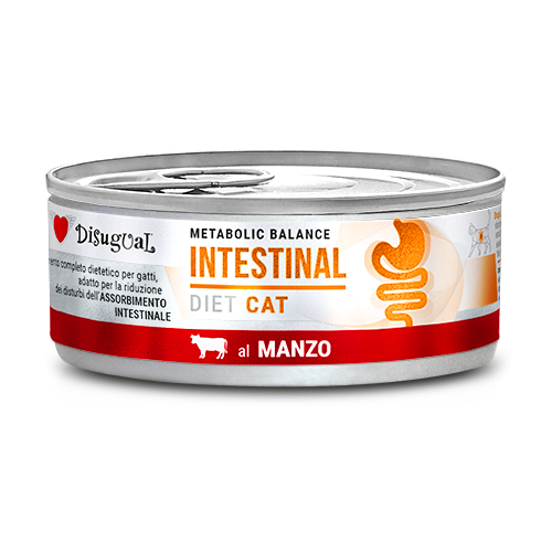 Disugual Cat Intestinal Alimento Dietetico per Gatti Gusto Manzo 85 g