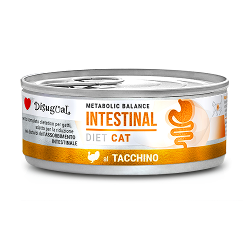 Disugual Cat Intestinal Alimento Dietetico per Gatti Gusto Tacchino 85 g
