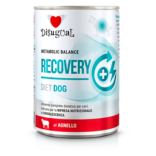 Disugual Dog Recovery Alimento Completo per Cani Gusto Agnello 400 g