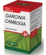 Erba Vita Garcinia Cambogia Integratore per Dimagrire
