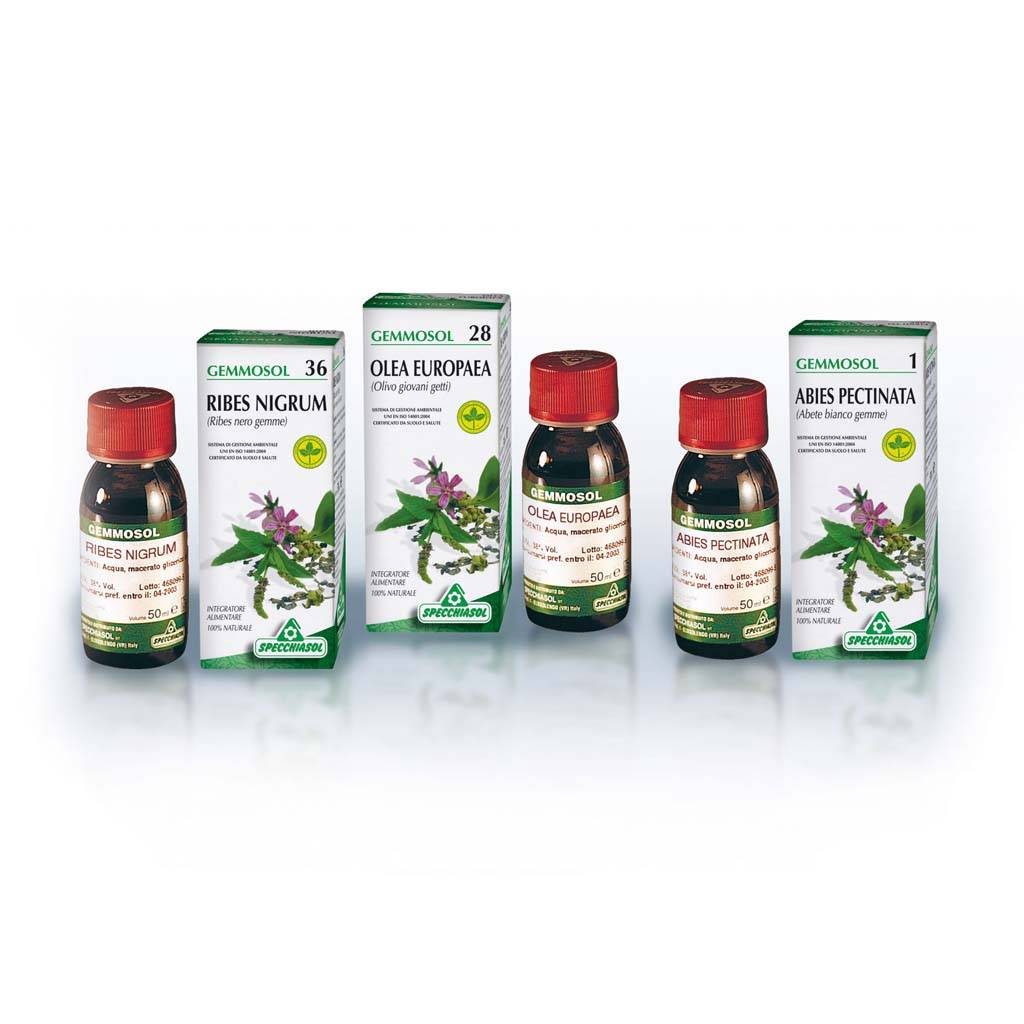 Specchiasol Gemmosol 36 Macerato glicerico Ribes Nero 50 ml