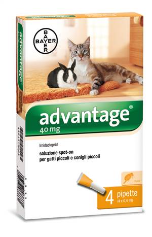 Bayer Advantage 40 mg Spot - On Antiparassitario per gatti e conigli 4 pieptte x 0,4 ml
