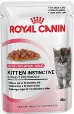 Royal Canin Feline Kitten Instinctive Cibo Umido per Gattini in Gelatina 85 g