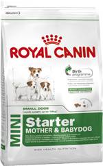 Royal Canin Mini Mother&Baby Cibo secco per Mamme e Cuccioli di Cane 1000 g